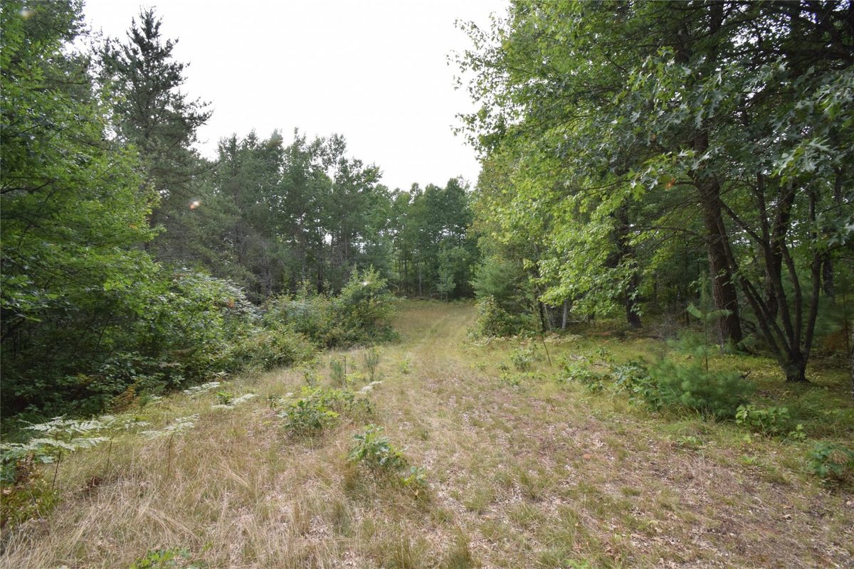 28206 Pardun Road, Danbury WI 54830 - Land house for sale - MLS #1604938 - image15