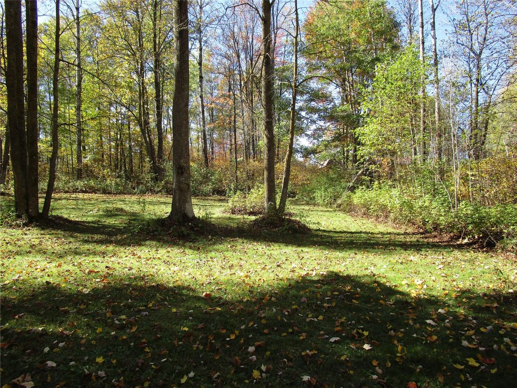 N7110 Hackett Road, Hawkins WI 54530 - Land house for sale - MLS #1600843 - image18
