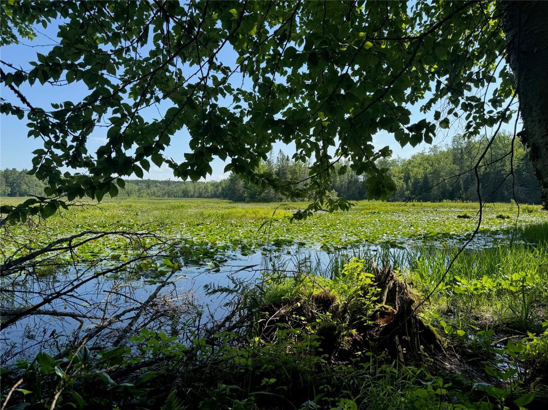 Lot 8 Crane Lane, Hayward WI 54843 - Land house for sale - MLS #1603375 - image31