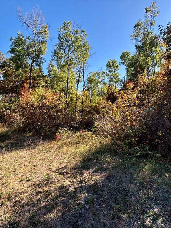 9524 Bergin Springs Road, Solon Springs WI 54873 - Land house for sale - MLS #1605714 - image12