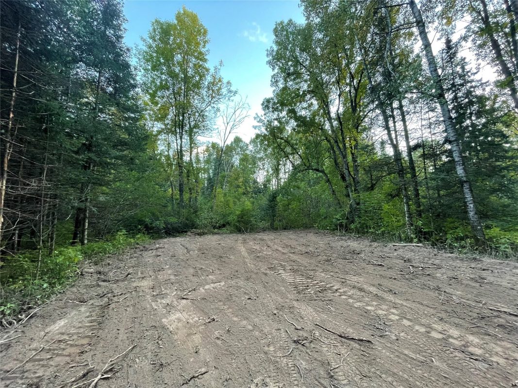 Lot 3 Fadness Road, Winter WI 54896 - Land house for sale - MLS #1605263 - image10