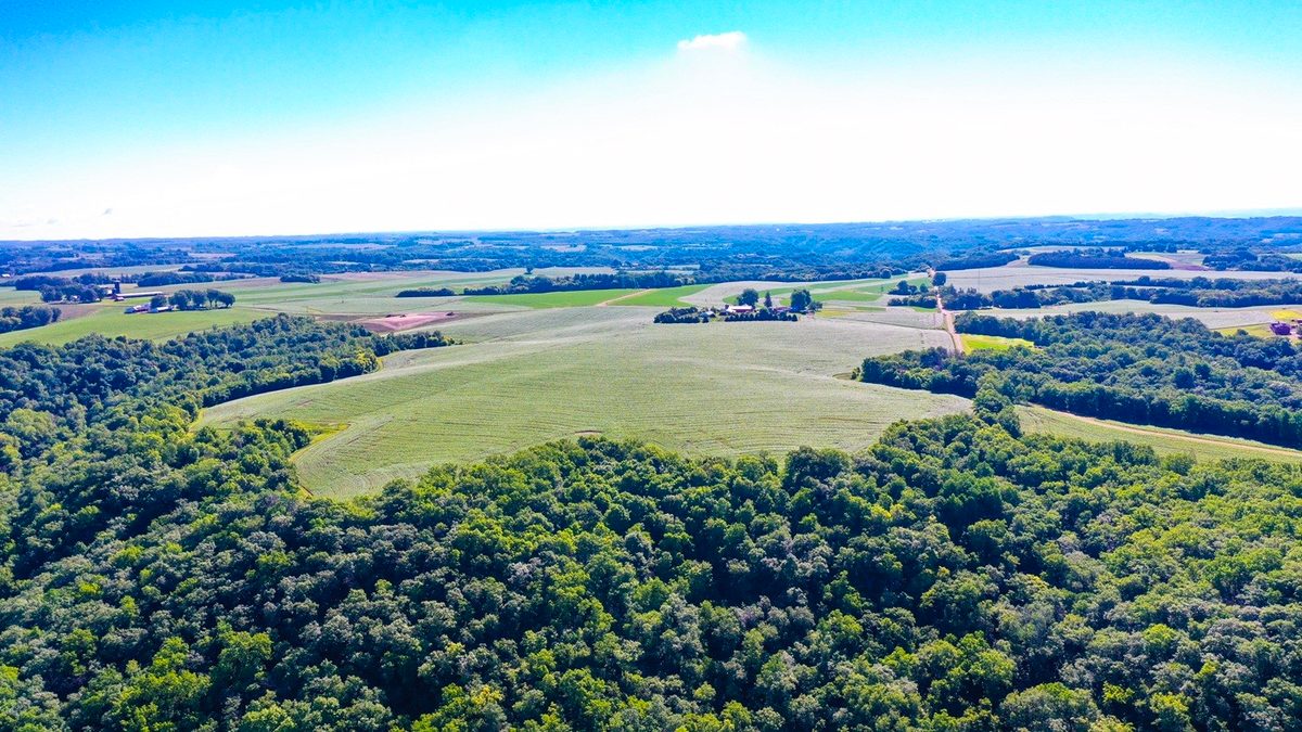 XX27 Orlin Lane, Stockholm WI 54769 - Land house for sale - MLS #1602543 - image22
