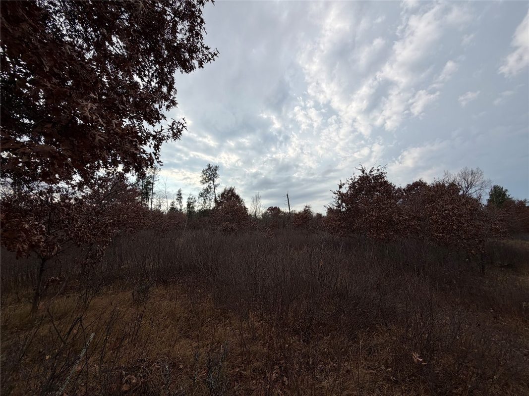 0000 280th Avenue, Sterling WI 54024 - Land house for sale - MLS #1606357 - image4