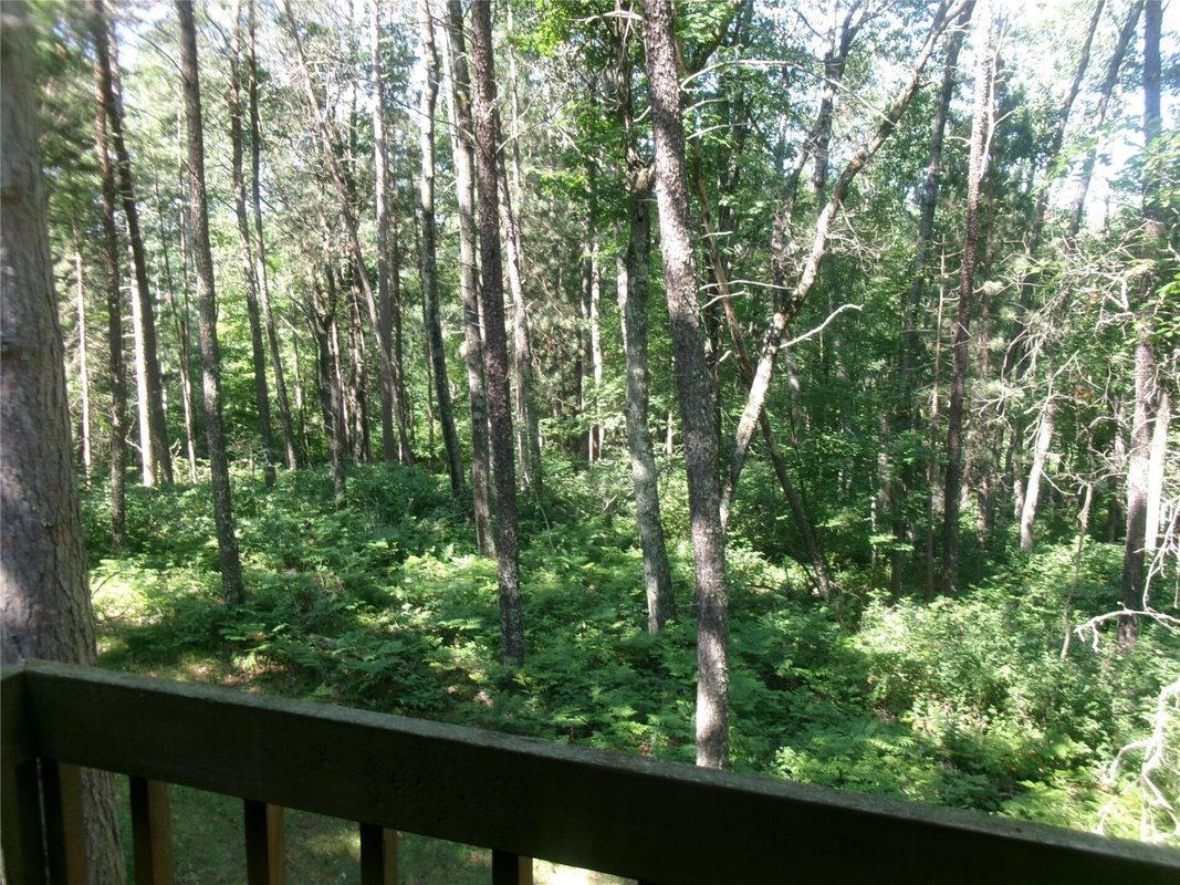 N8151 Cattail Lane, Trego WI 54888 - Residential house for sale - MLS #1602942 - image15