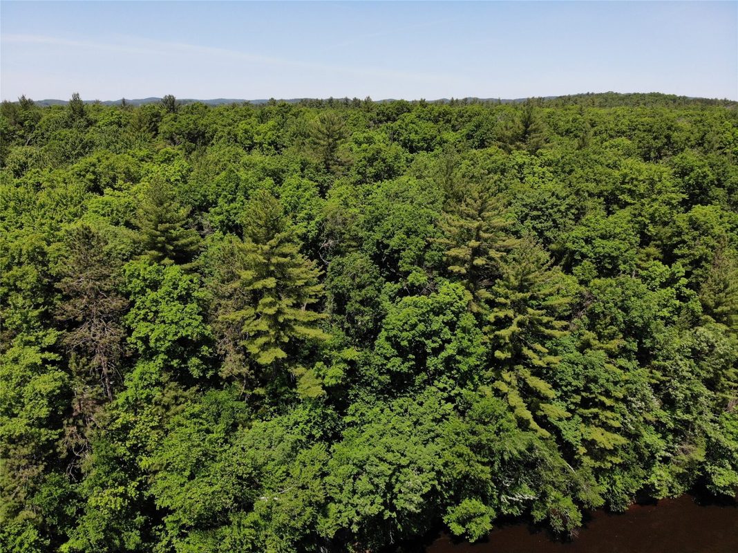 N7280 Waters Edge Road, Black River Falls WI 54615 - Residential house for sale - MLS #1601969 - image5