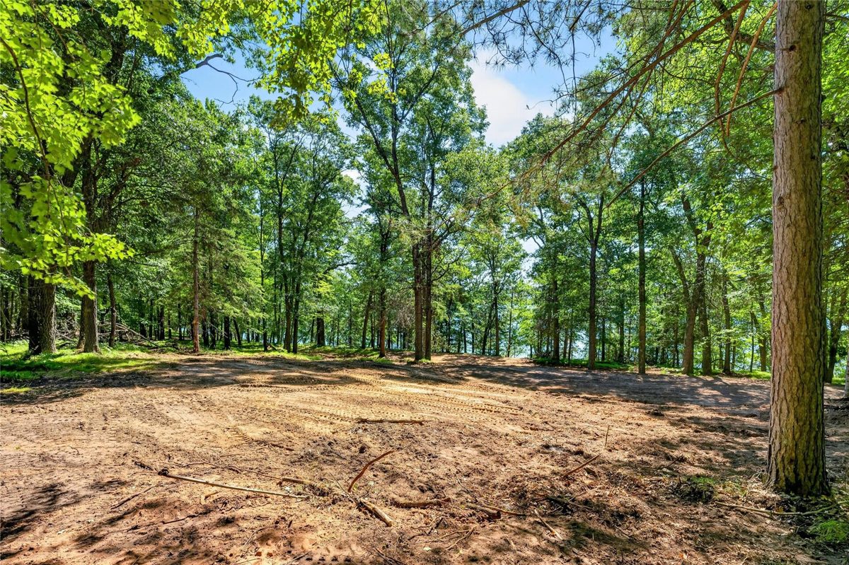 51260 Birch Lake Road, Barnes WI 54873 - Land house for sale - MLS #1603549 - image23