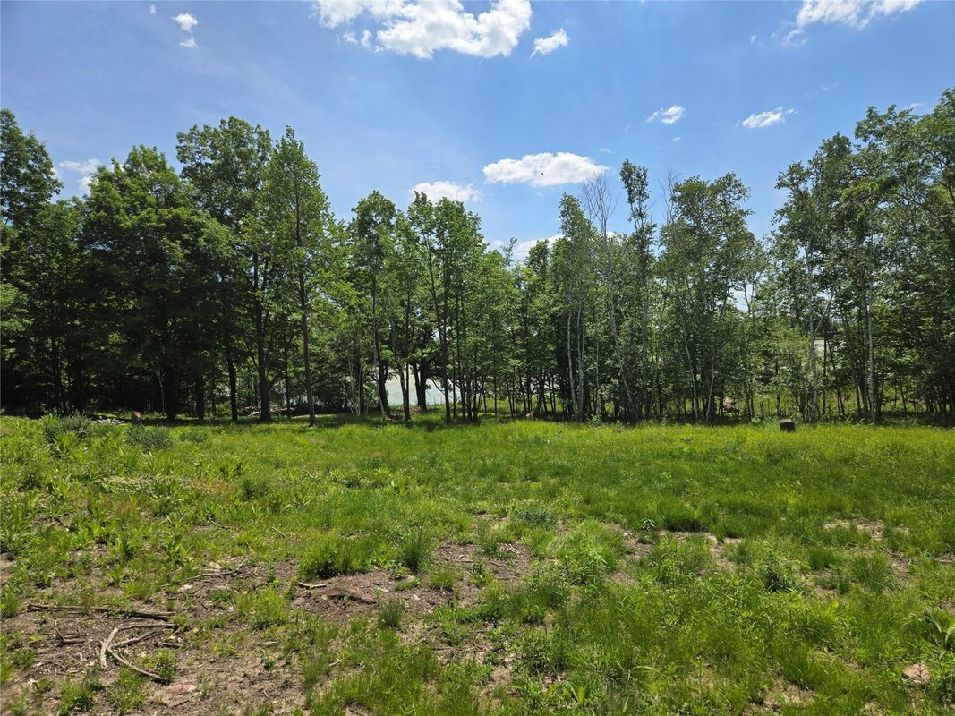 110 90th Avenue, Clayton WI 54004 - Land house for sale - MLS #1600343 - image3