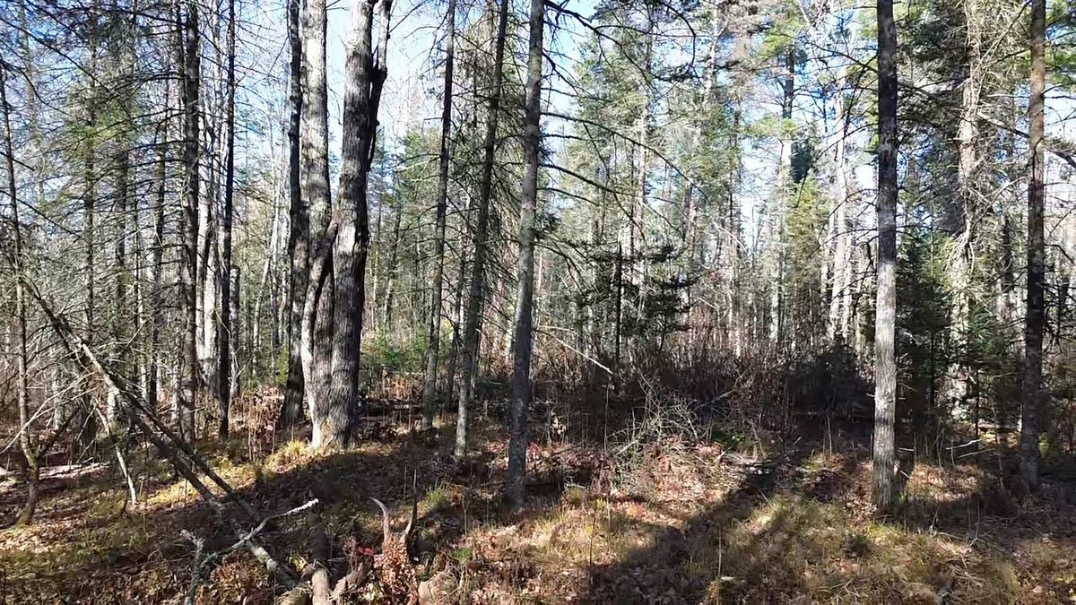 127XX State Highway 70, Couderay WI 54828 - Land house for sale - MLS #1606290 - image14