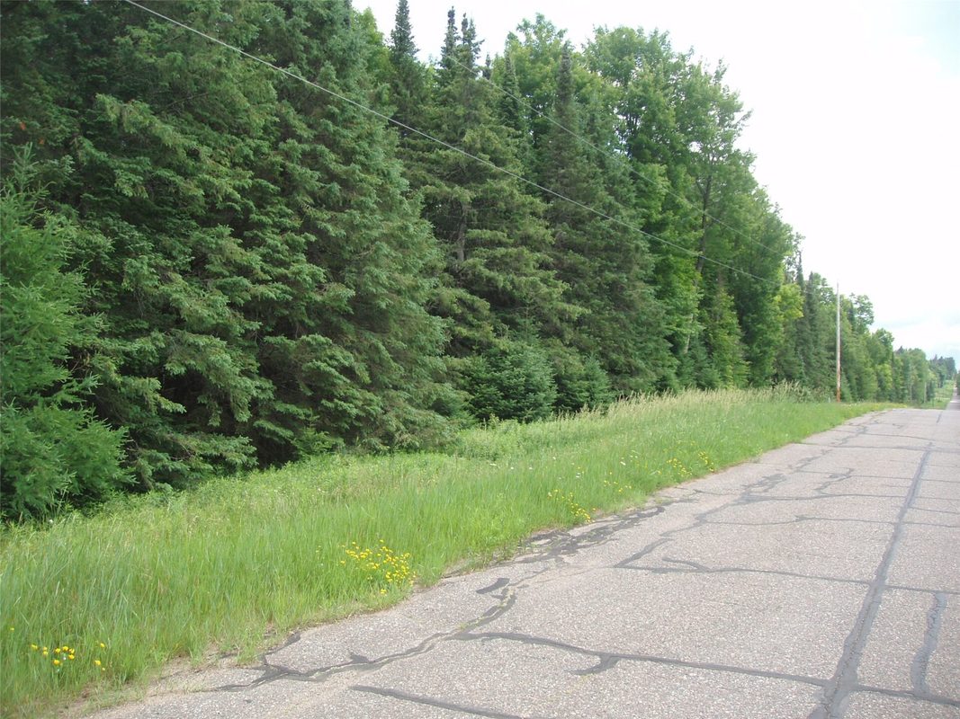 N16798 Bass Lake Road, Butternut WI 54514 - Residential house for sale - MLS #1603059 - image41