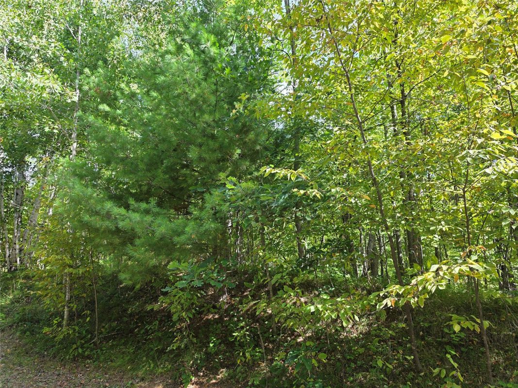 7183 Fremsted Road, Danbury WI 54830 - Land house for sale - MLS #1604943 - image7