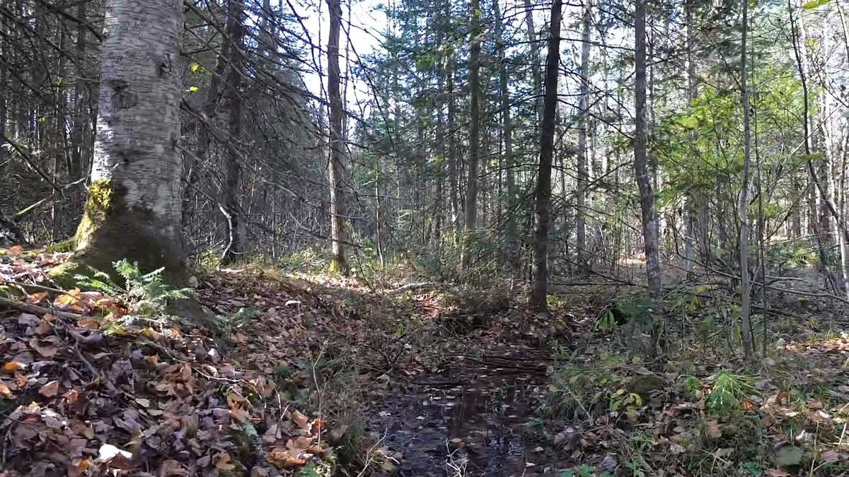 127XX State Highway 70, Couderay WI 54828 - Land house for sale - MLS #1606290 - image29