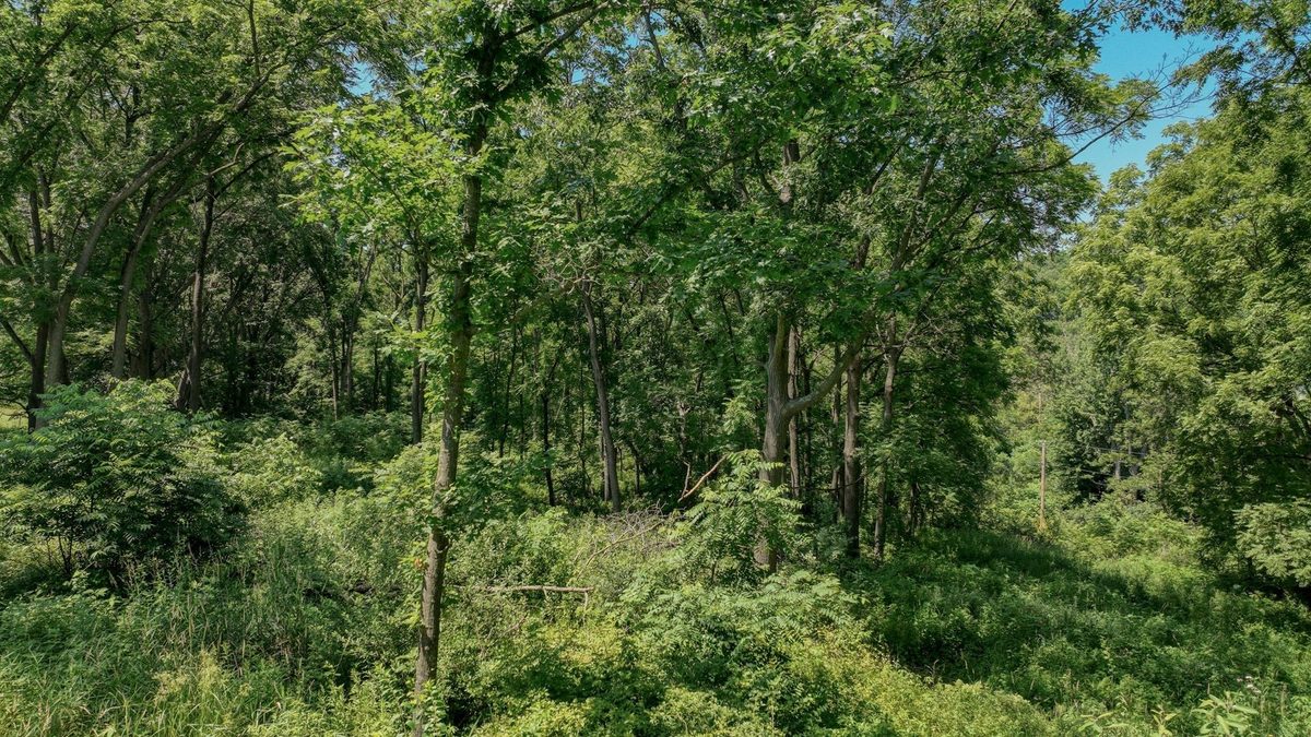 00 Garves Coulee Road, Bangor WI 54614 - Land house for sale - MLS #1603270 - image13