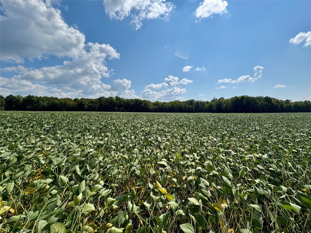 W16860 Cty Rd D, Sheldon WI 54766 - Land house for sale - MLS #1604631 - image44
