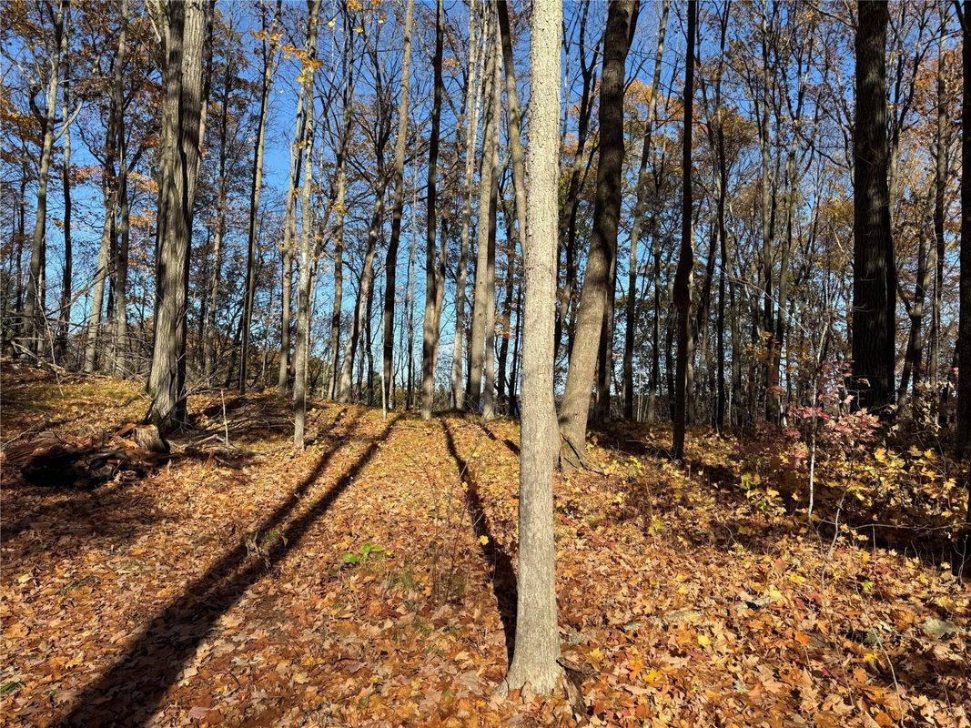 XXX County Hwy MD, Sarona WI 54870 - Land house for sale - MLS #1605948 - image29