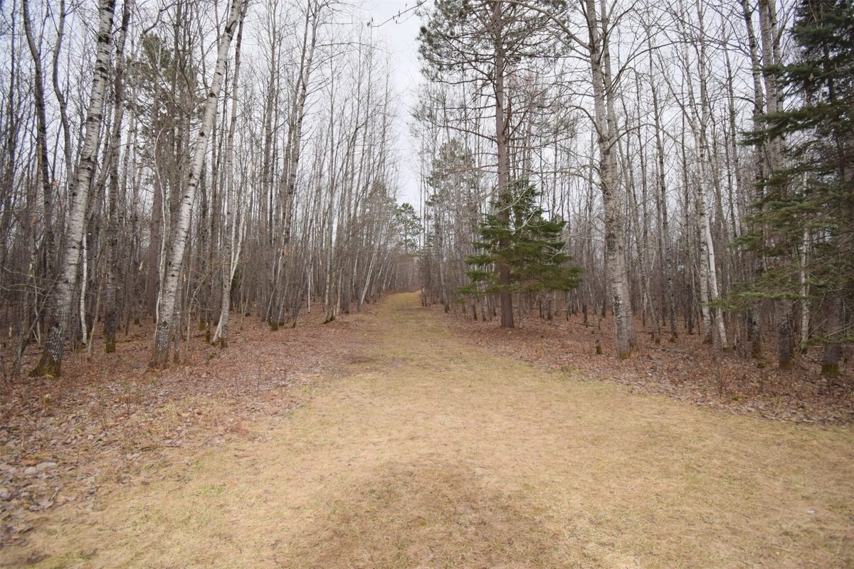 8539 W Christensen Road Trego WI 54888 — photo 54