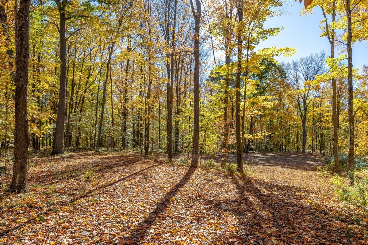 W5957 Happy Acres Road Tony WI 54563 - image31