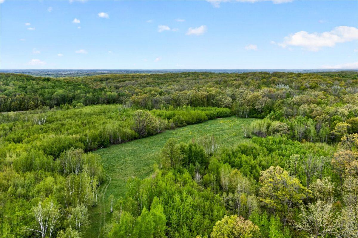 N8771 Fye Road, Trego WI 54888 - Land house for sale - MLS #1603147 - image8