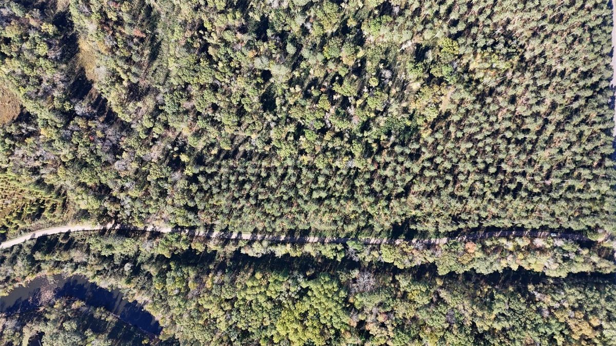 TBD BB Mann Road, Spooner WI 54801 - Land house for sale - MLS #1602853 - image8