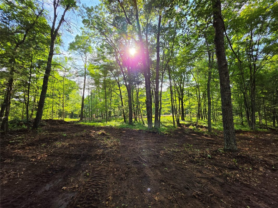 27646 295th (Lot 14) Avenue, Holcombe WI 54745 - Land house for sale - MLS #1602155 - image6