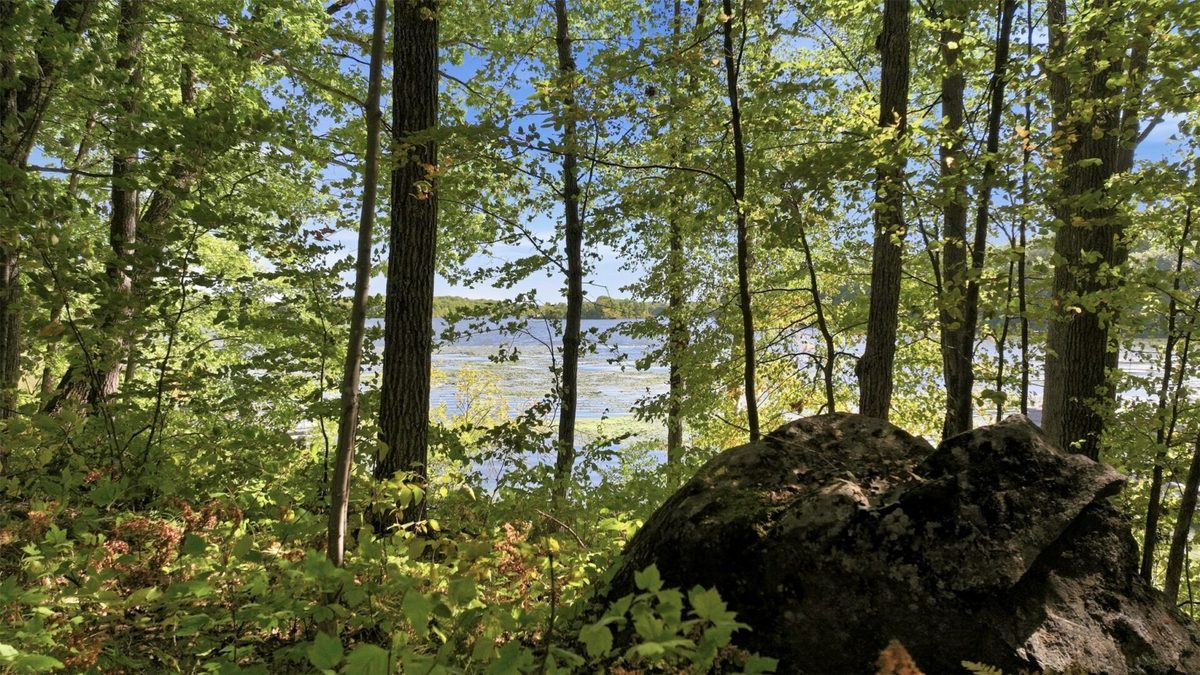 Lot 2 Sugar Bay Road, Chetek WI 54728 - Land house for sale - MLS #1605220 - image8
