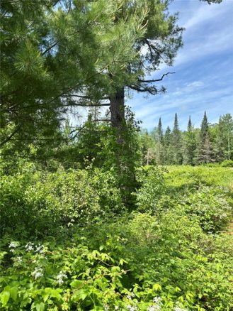 16550 Ridgerock Road, Hayward WI 54843 - Land house for sale - MLS #1591202 - image1