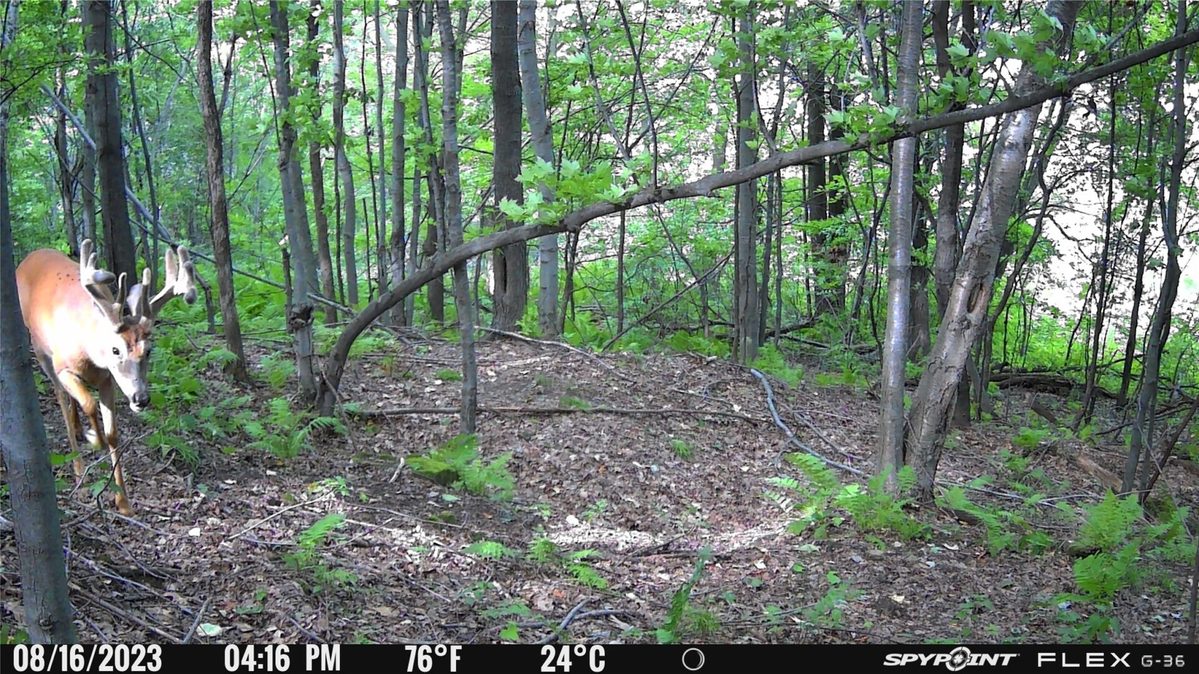 0 1130th Avenue, Colfax WI 54730 - Land house for sale - MLS #1606327 - image14