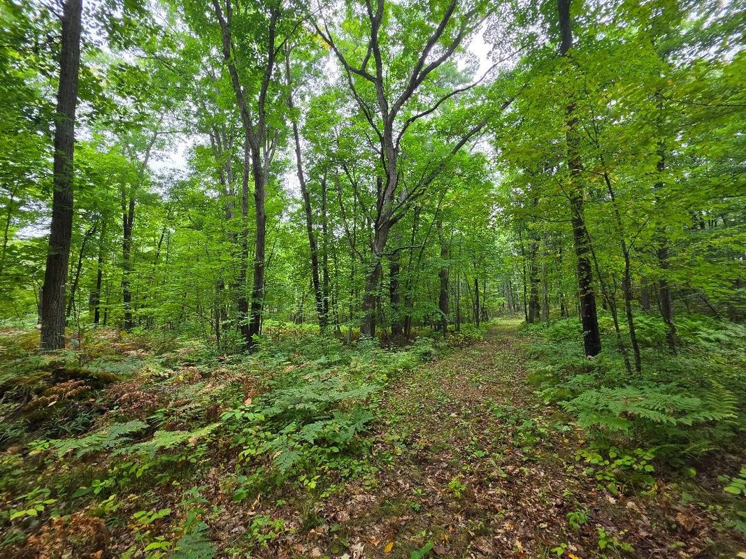 00 10 1/2-28 1/2, Barronett WI 54813 - Land house for sale - MLS #1604830 - image35