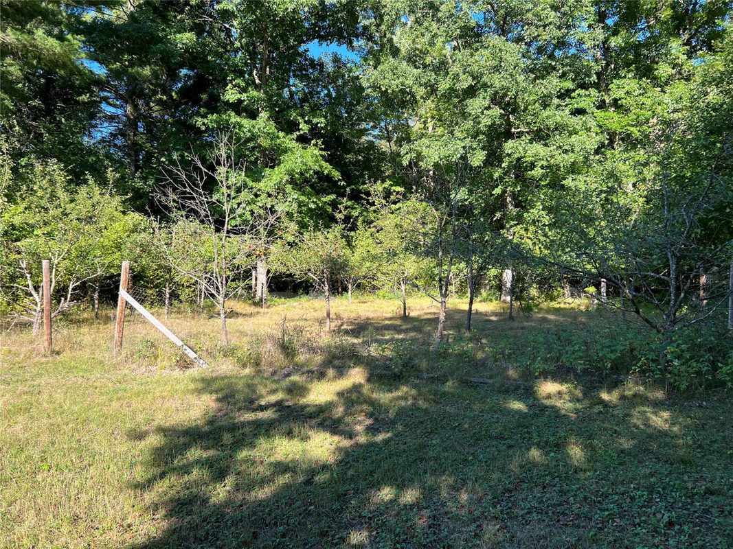 W10712 Popple River Road, Thorp WI 54771 - Land house for sale - MLS #1605082 - image4