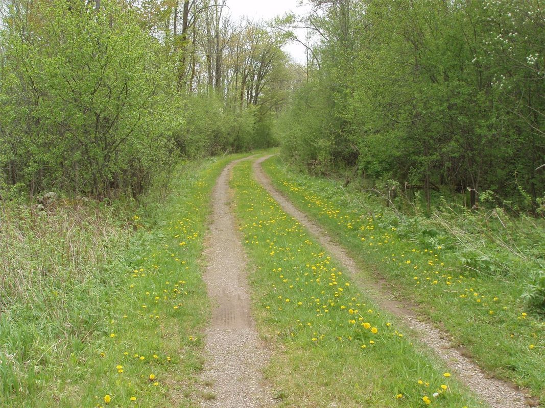 W9002 Moonshine Alley, Catawba WI 54514 - Residential house for sale - MLS #1601811 - image40