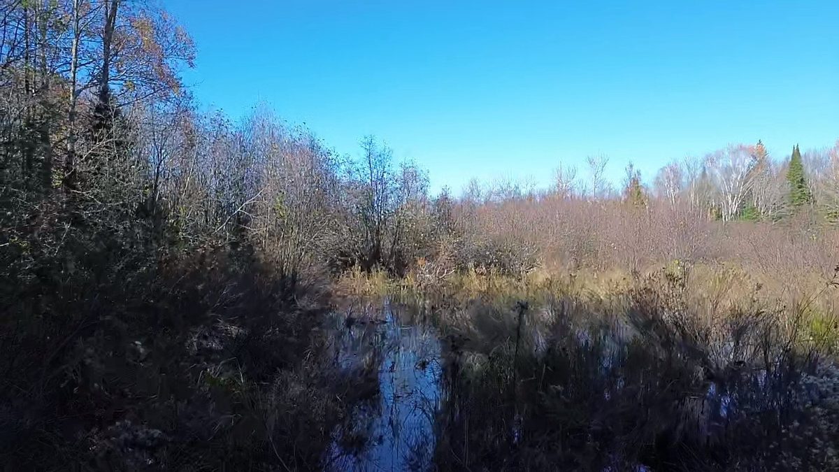 4800 43 Road, Solon Springs WI 54783 - Land house for sale - MLS #1606105 - image19