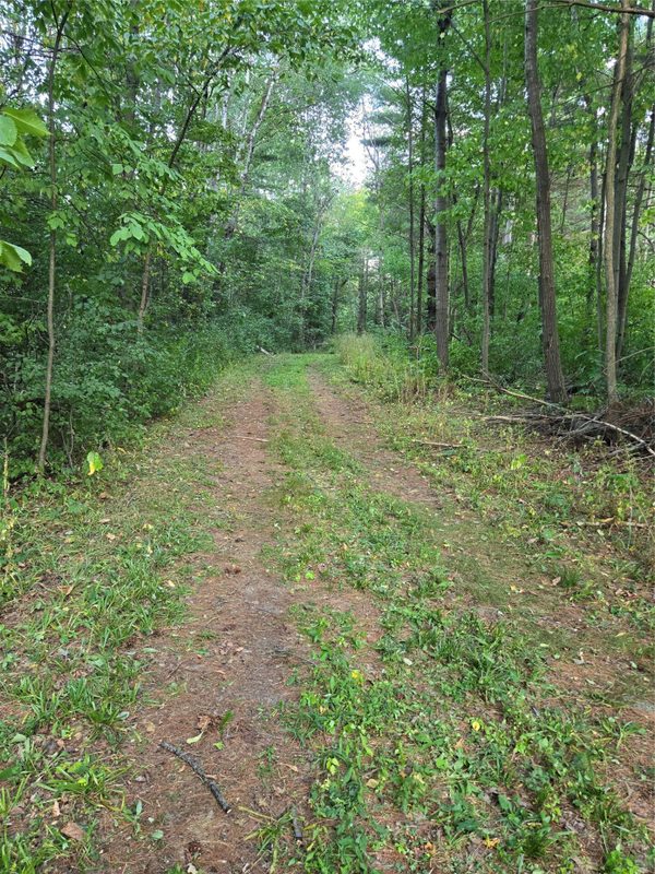 13719 191st Street, Chippewa Falls WI 54729 - Land house for sale - MLS #1604556 - image9