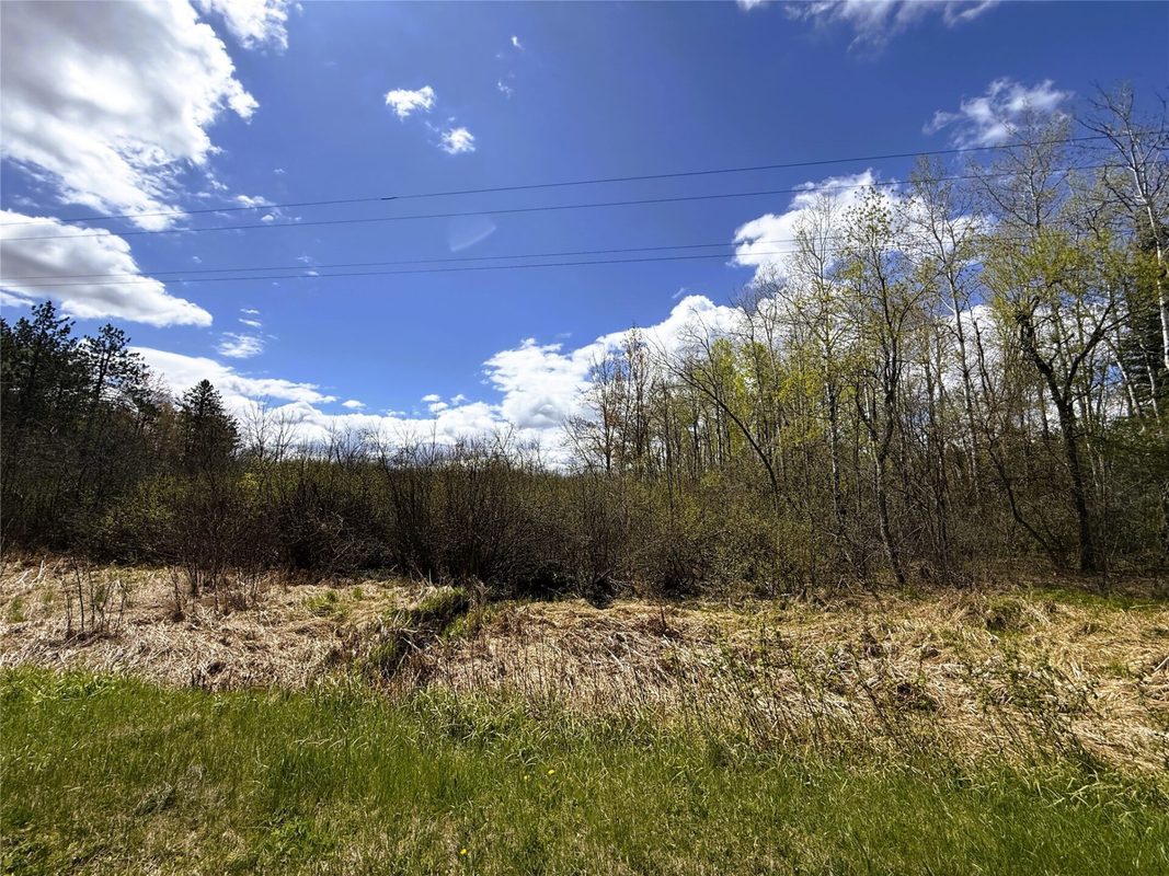 36.5 Acres E Cedarbrook Road, Ladysmith WI 54848 - Land house for sale - MLS #1601172 - image15