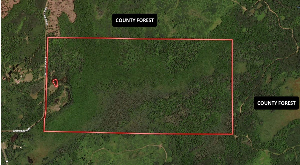 15138 Crotte Brook Trail, Danbury WI 54830 - Residential house for sale - MLS #1600976 - image16