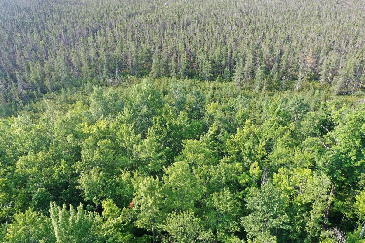 W9527 Mile Road, Ladysmith WI 54848 - Residential house for sale - MLS #1603730 - image39