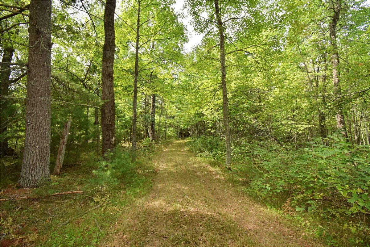 28206 Pardun Road, Danbury WI 54830 - Land house for sale - MLS #1604938 - image30
