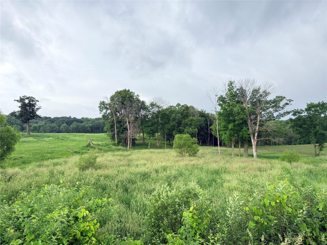 0 Grandview Drive, Fall Creek WI 54727 - Land house for sale - MLS #1603307 - image4