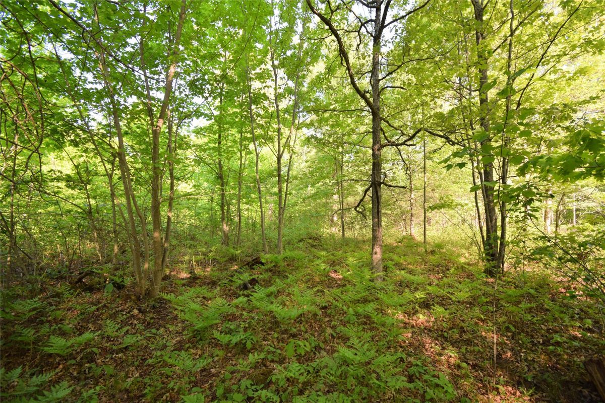 Lot 106 Setting Sun Court, Danbury WI 54830 - Land house for sale - MLS #1601808 - image16