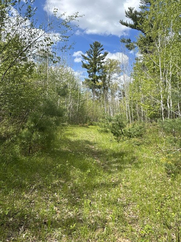 25275 Bruss Road, Webster WI 54893 - Land house for sale - MLS #1602158 - image11