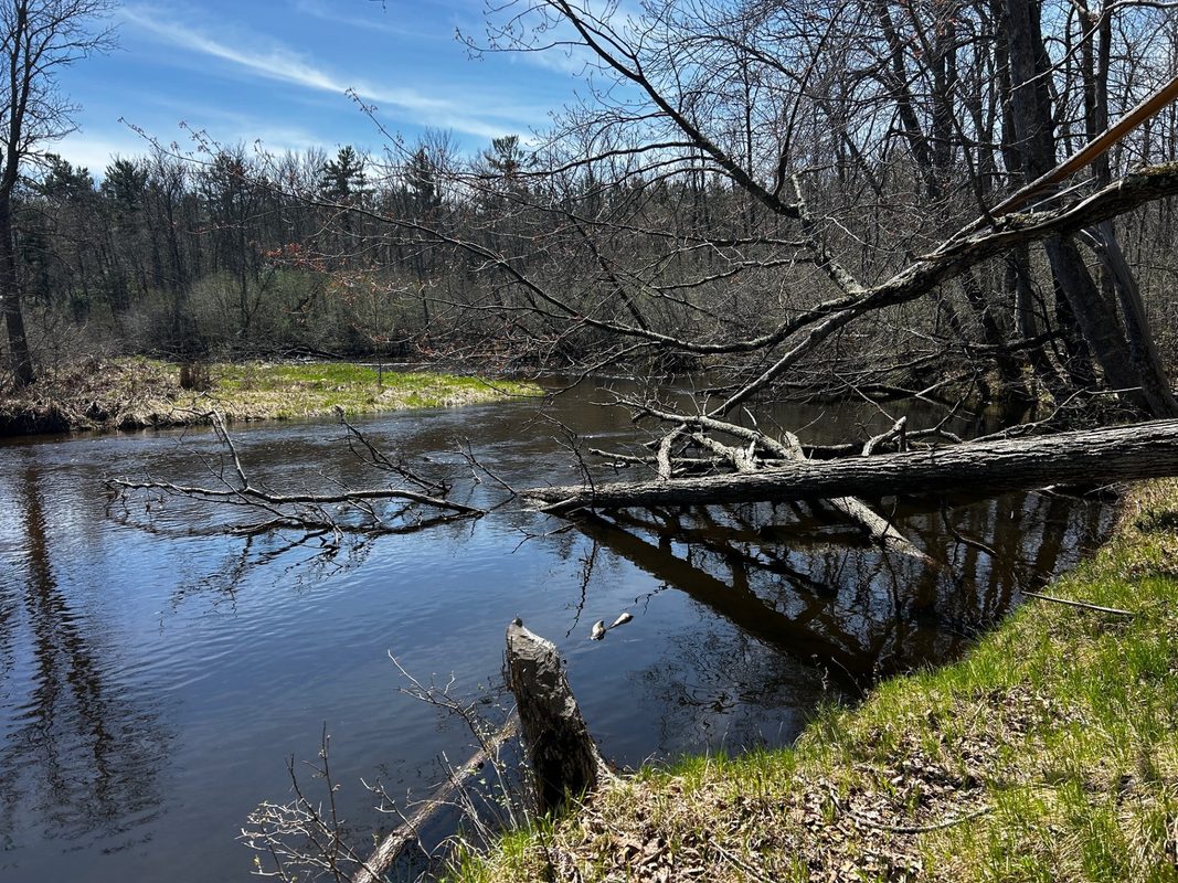 Lots 5 & 6 State Highway 70, Spooner WI 54801 - Land house for sale - MLS #1604806 - image5