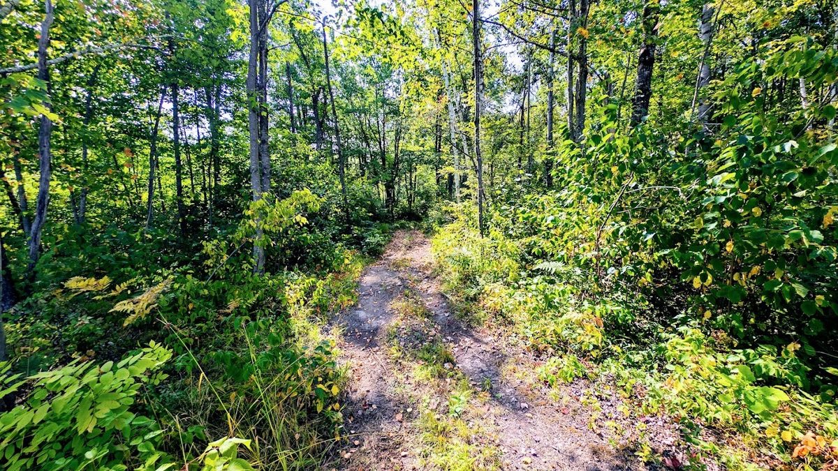 W8185 County Road J, Ladysmith WI 54848 - Land house for sale - MLS #1604406 - image19