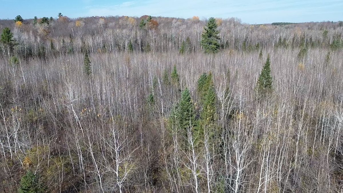 123XX W Jos R Chafer Road, Couderay WI 54828 - Land house for sale - MLS #1606292 - image2