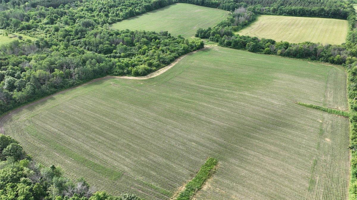 XX County Road BB, Baldwin WI 54002 - Land house for sale - MLS #1602567 - image18