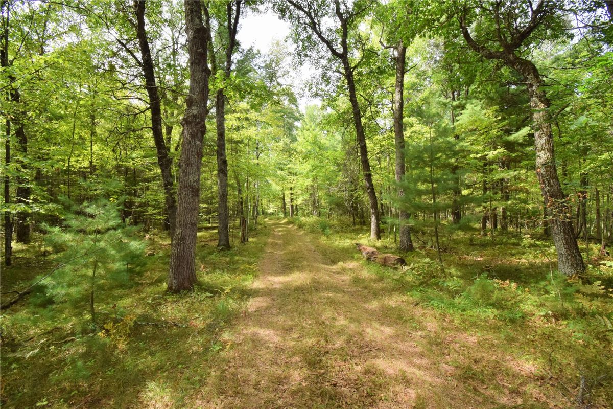28206 Pardun Road, Danbury WI 54830 - Land house for sale - MLS #1604938 - image38