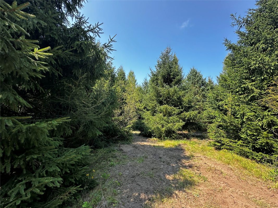N9679 630th Street, Colfax WI 54730 - Land house for sale - MLS #1604625 - image10