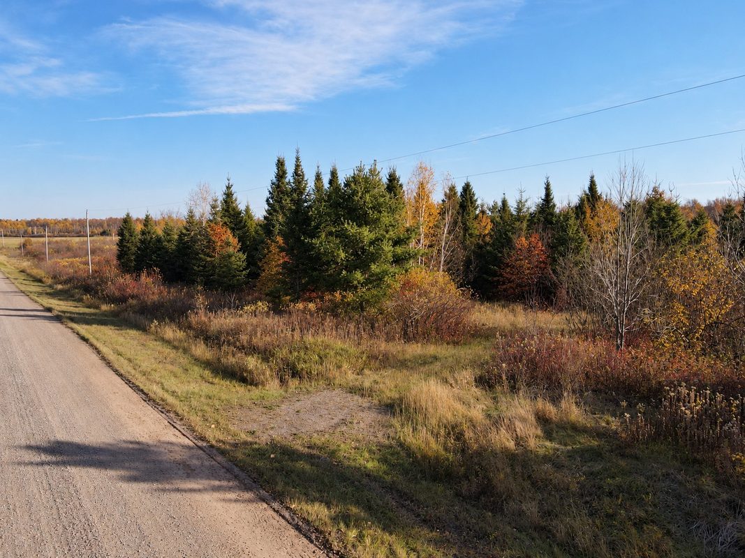 TBD Fedyn Road, Ladysmith WI 54848 - Land house for sale - MLS #1606244 - image13