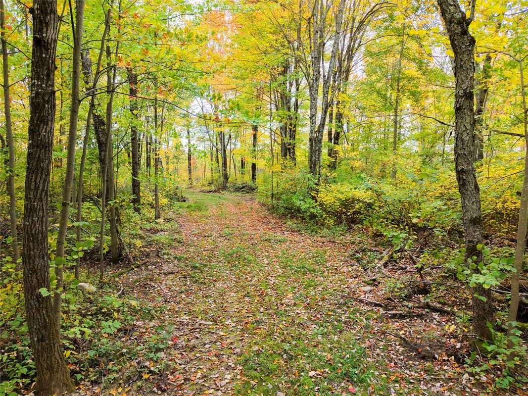 0000 County Road I, Ogema WI 54459 - Land house for sale - MLS #1605613 - image15
