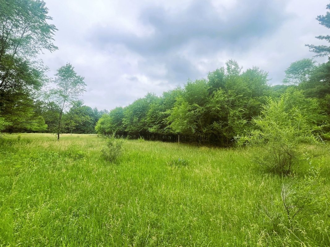 4715 Olson Drive, Eau Claire WI 54703 - Residential house for sale - MLS #1602171 - image16