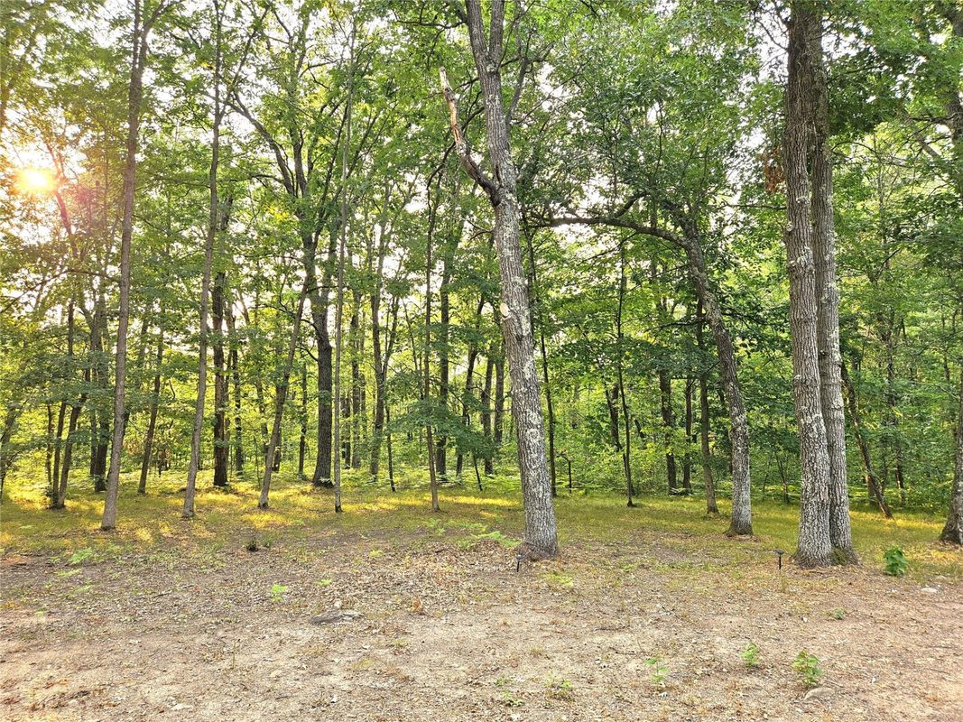 N8356 Lincoln Lake Road, Trego WI 54888 - Land house for sale - MLS #1604319 - image4