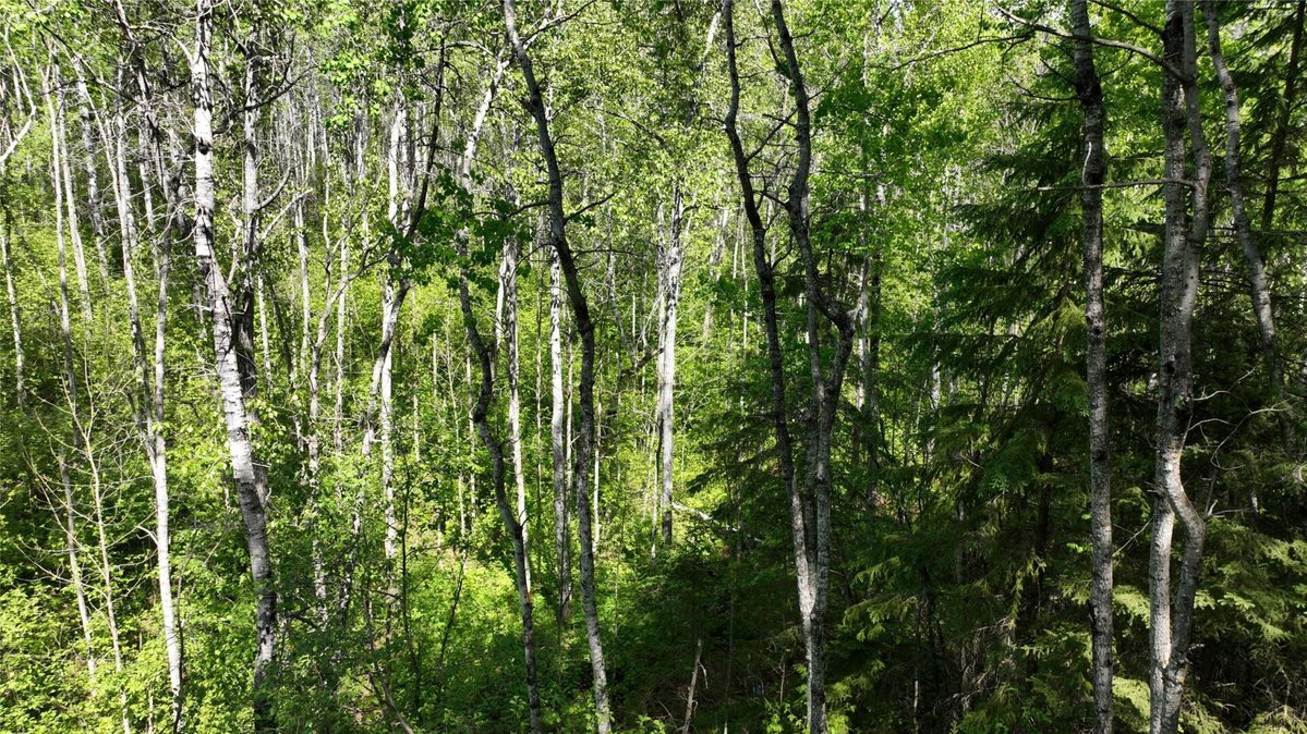 1640 County Road W, Superior WI 54880 - Land house for sale - MLS #1602205 - image27