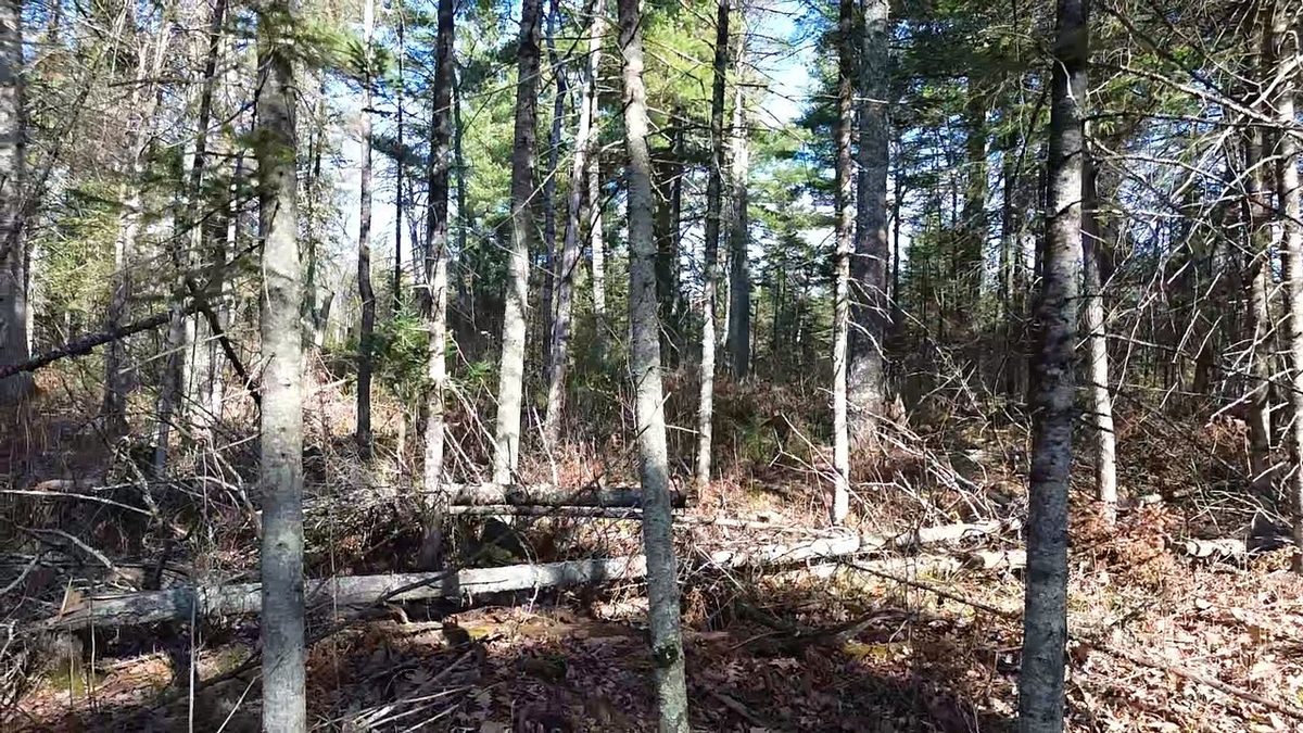 127XX State Highway 70, Couderay WI 54828 - Land house for sale - MLS #1606290 - image8